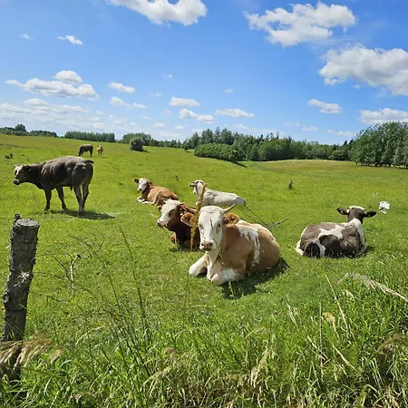 Siedlisko Mazury Ii Golubie Wezewskie