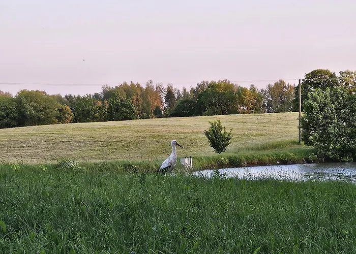 Siedlisko Mazury Ii Apartment Golubie Wezewskie