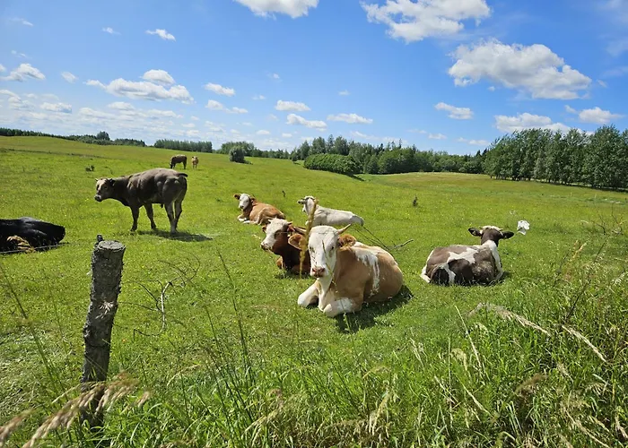 Siedlisko Mazury Ii Golubie Wezewskie